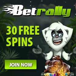 Bet Rally Casino