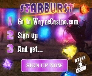 Wayne Casino