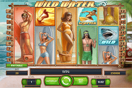 Wayne Video Slot