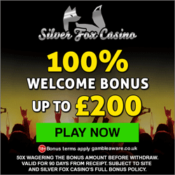 Silver Fox Casino