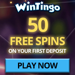 Wintingo Casino